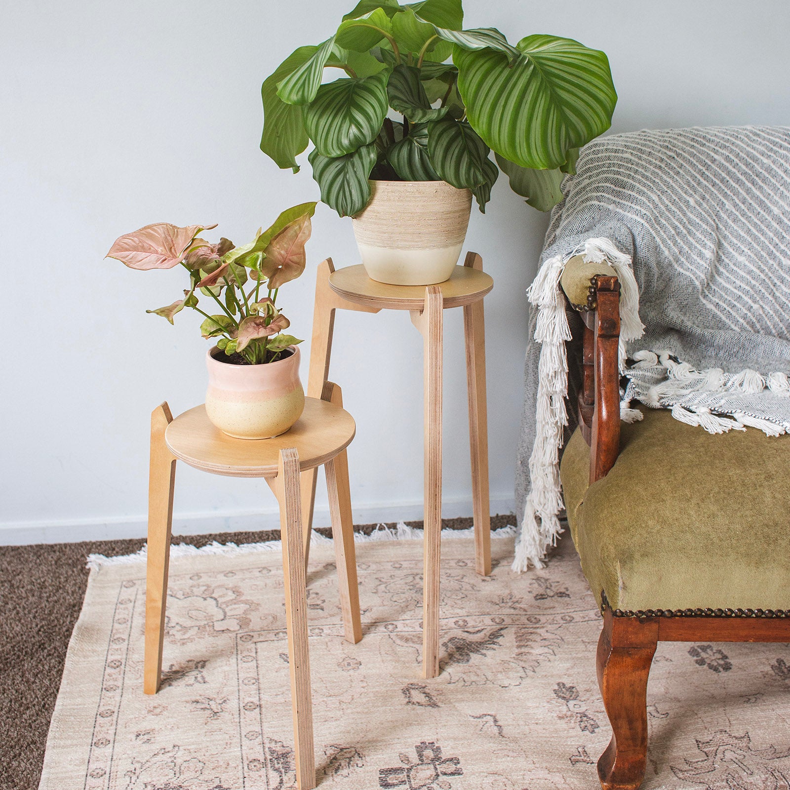 Japandi Plant Stand Wholesale Packs