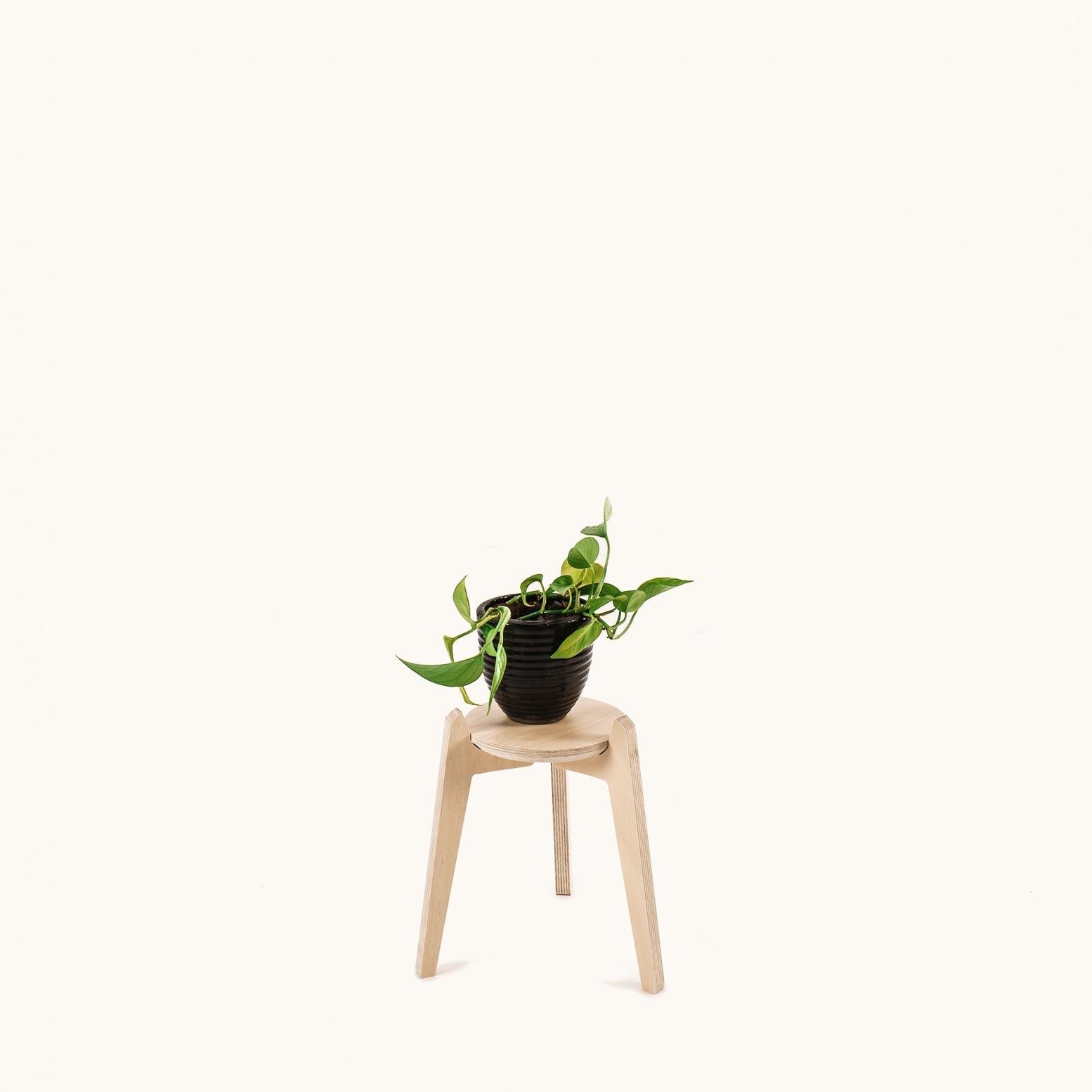 Japandi 170mm Plant Stand 