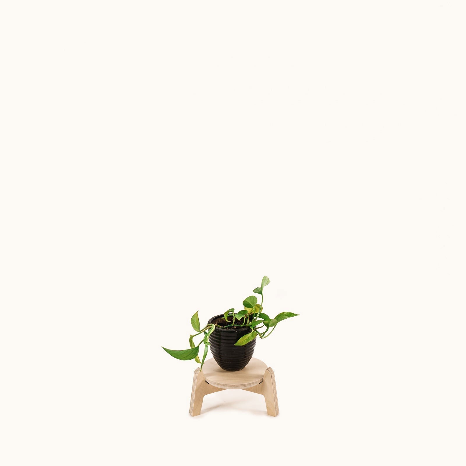 Japandi 170mm Plant Stand 