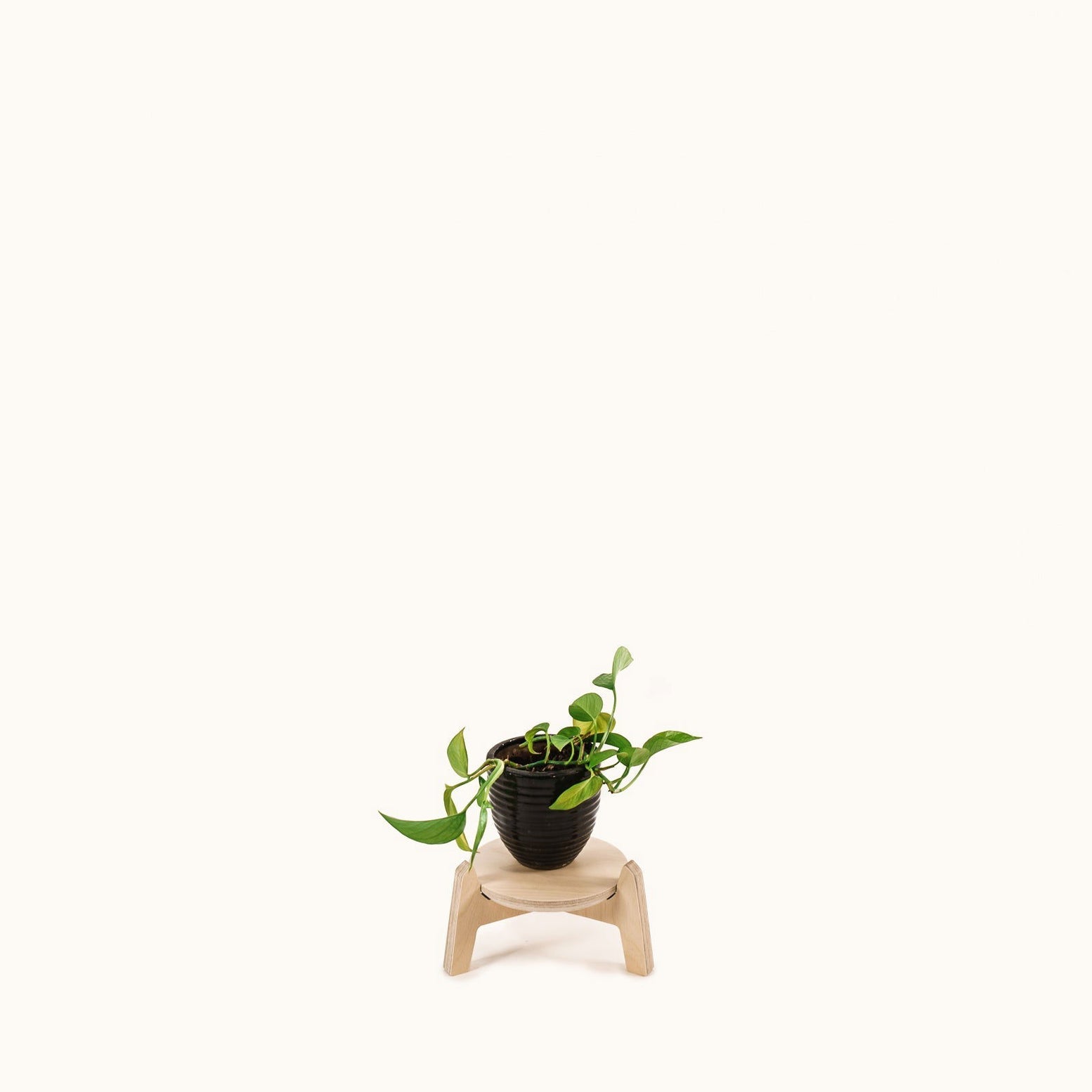 Japandi 170mm Plant Stand 