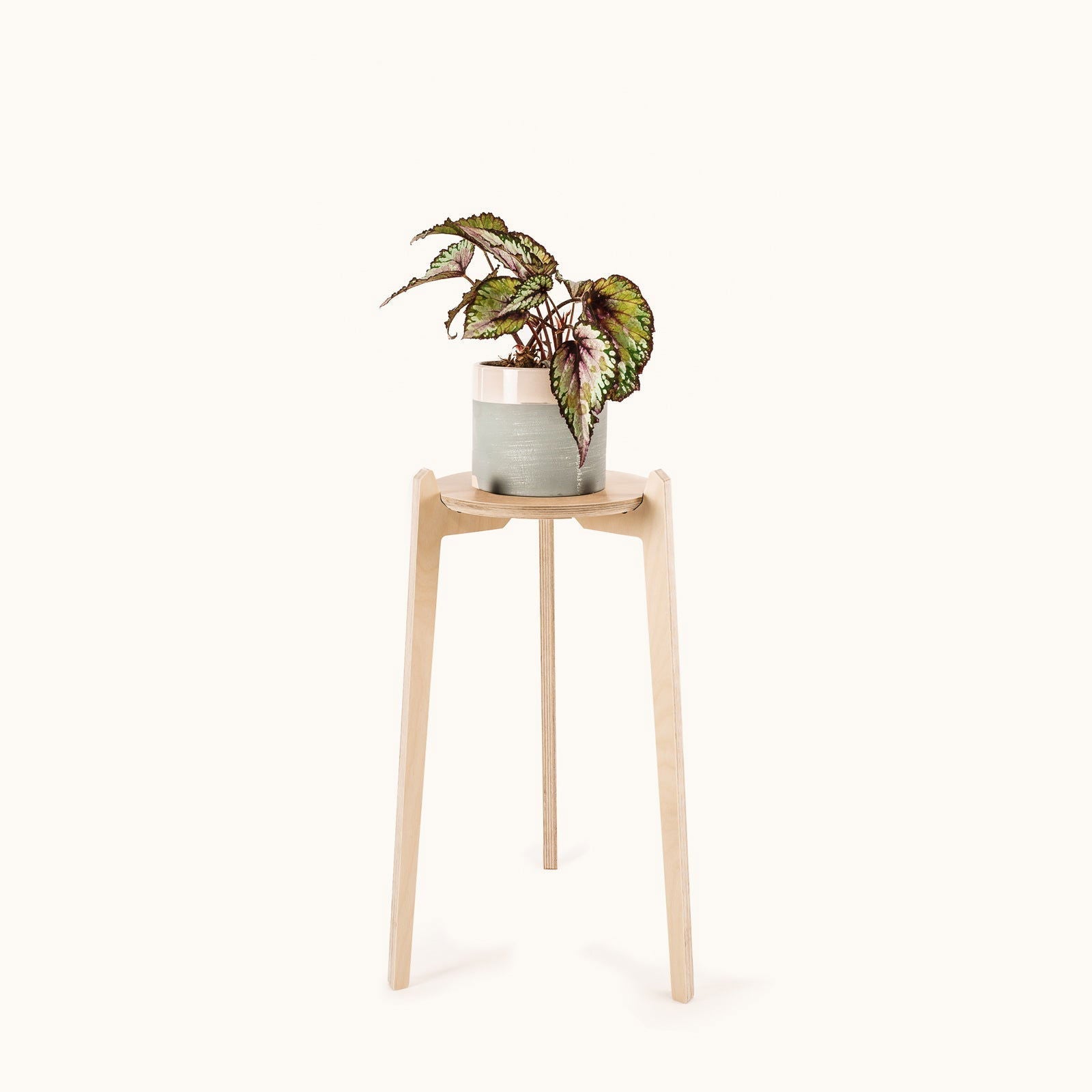 Japandi 220mm Plant Stand 