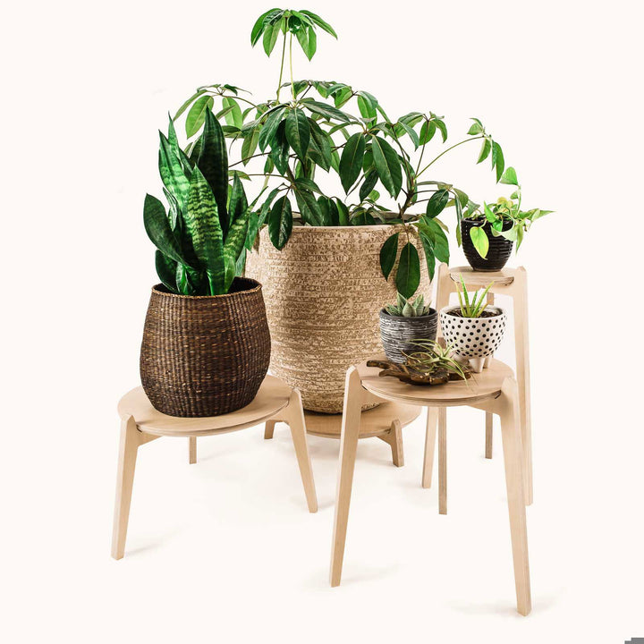 Japandi 220mm Plant Stand 
