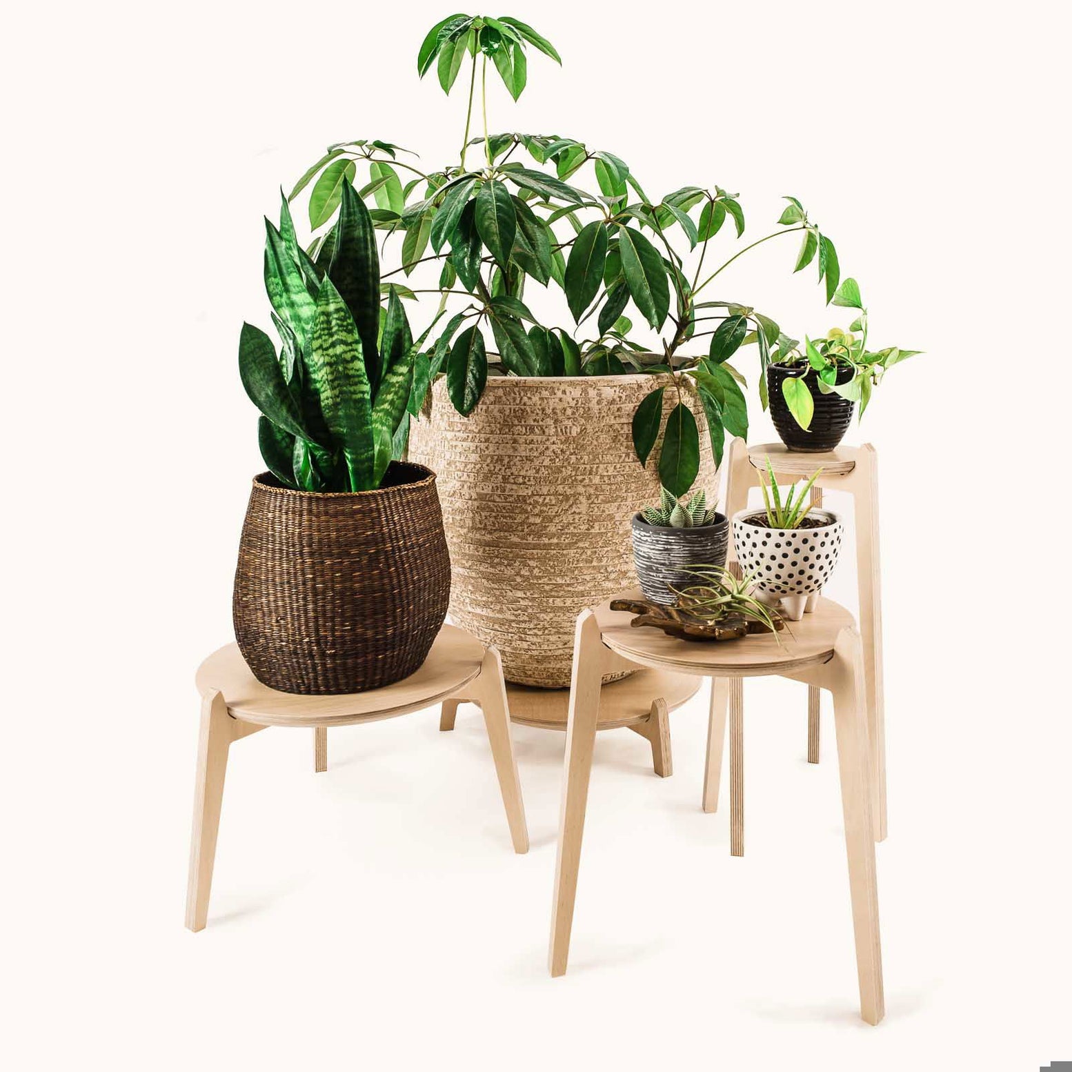 Japandi 220mm Plant Stand 