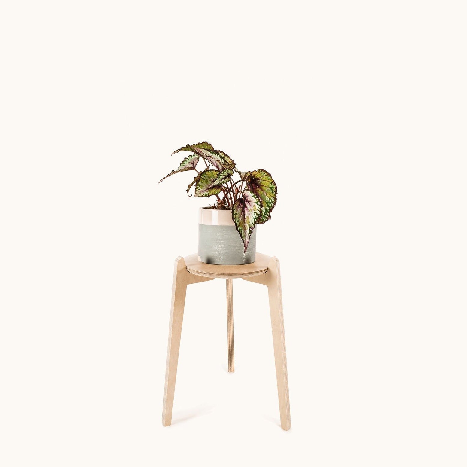 Japandi 220mm Plant Stand 
