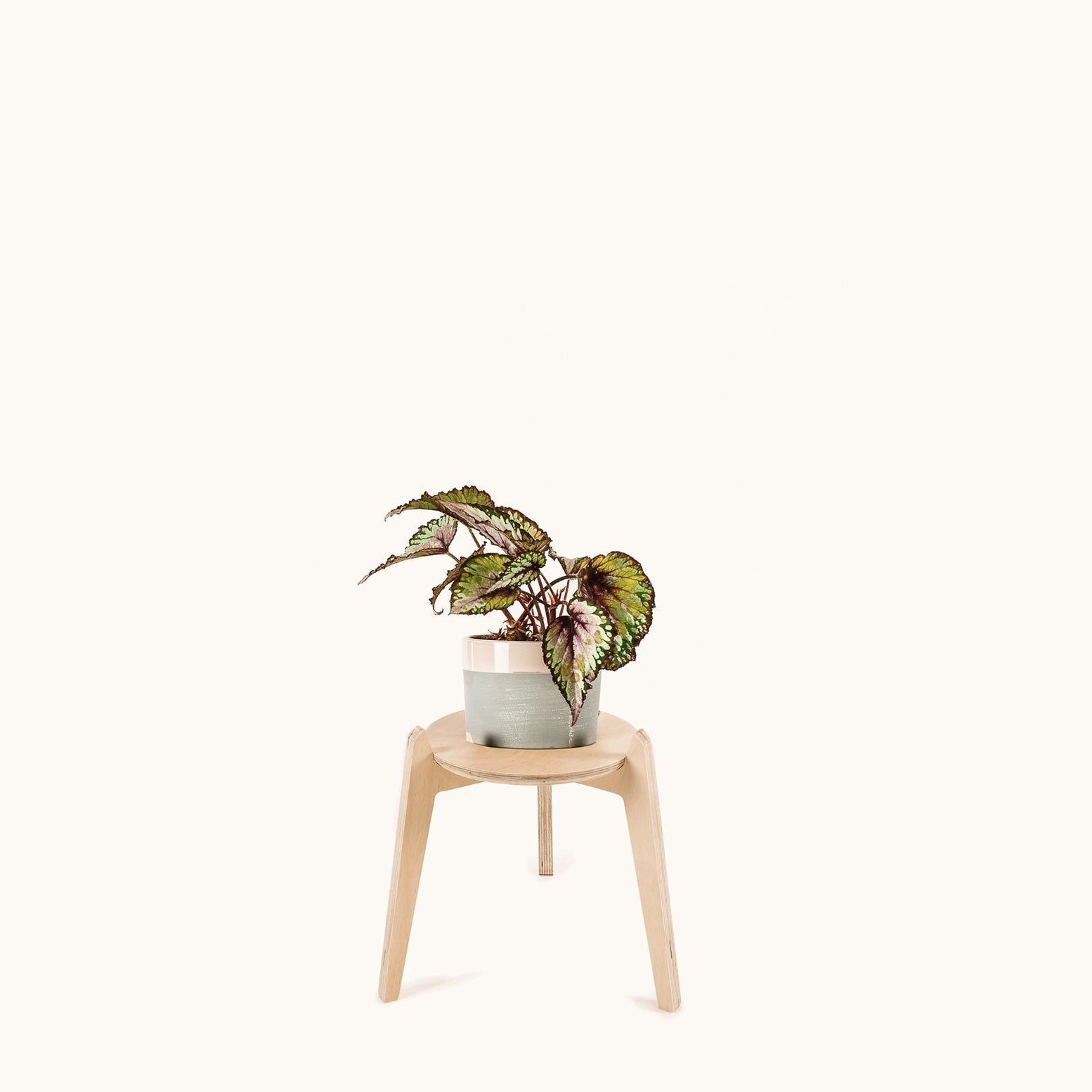 Japandi 220mm Plant Stand 