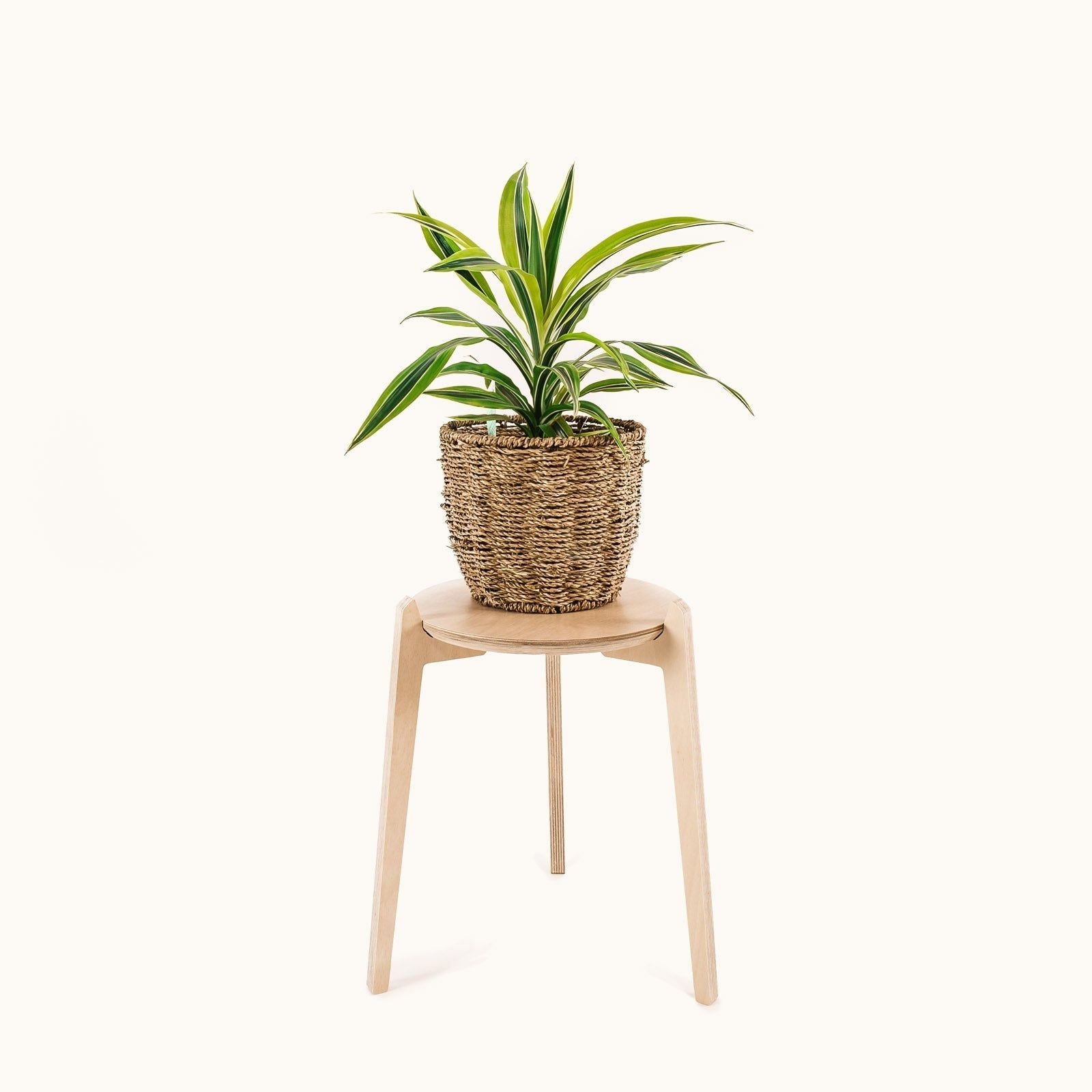 Japandi 280mm Plant Stand 