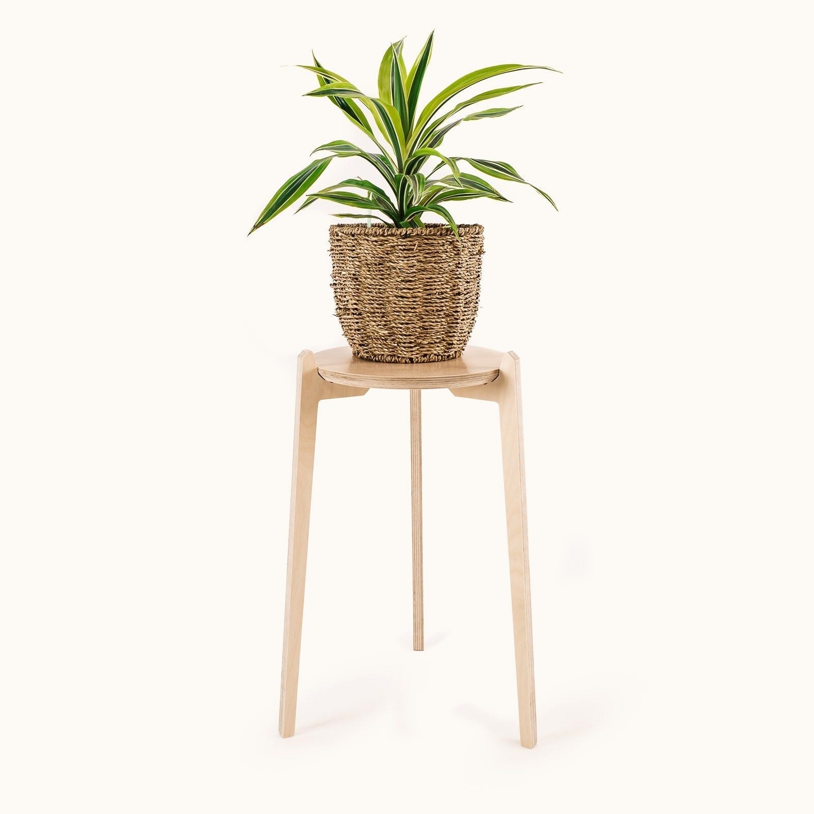 Japandi 280mm Plant Stand 