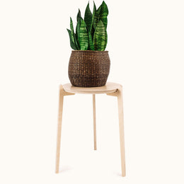 Japandi 360mm Plant Stand 
