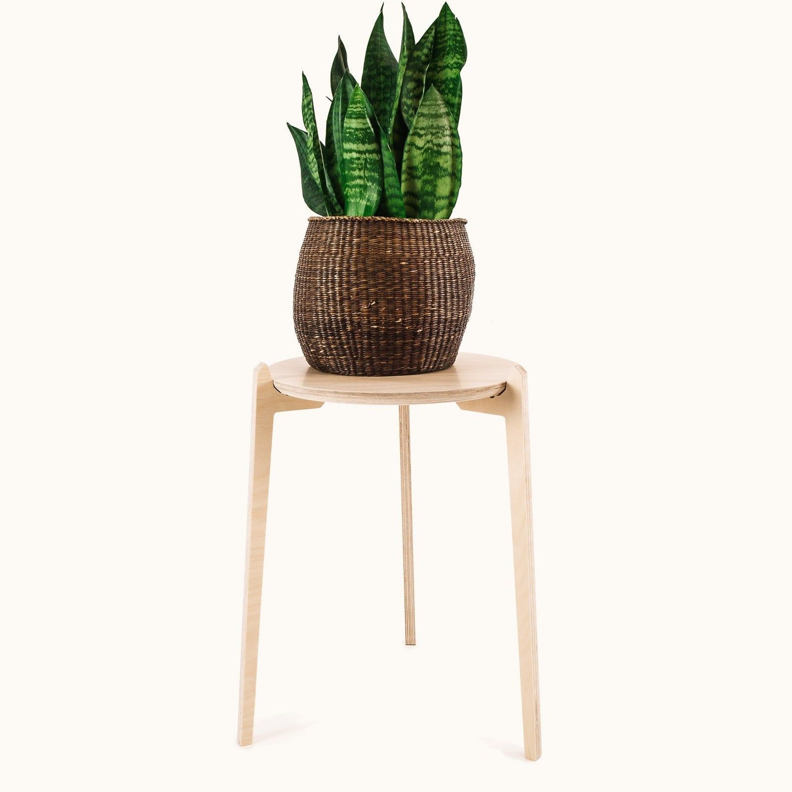 Japandi 360mm Plant Stand 