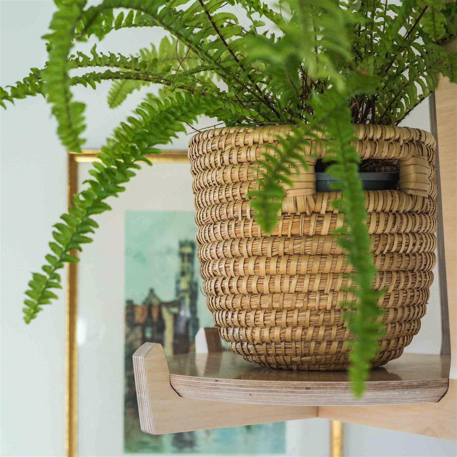 hanging planter nz Japandi Hanging Plant Stand | Home Decor | Premium Wood | NZ Made
