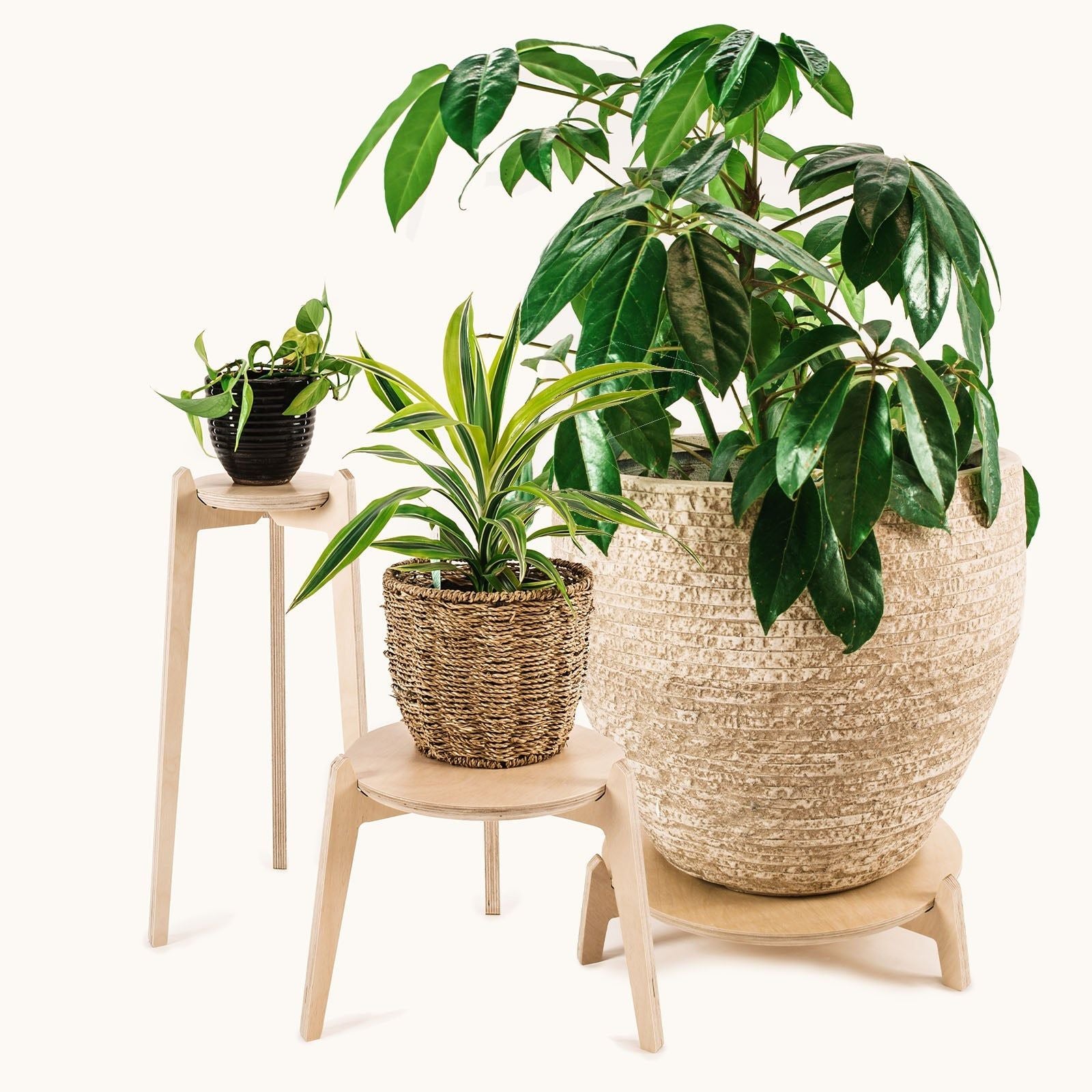 Japandi Plant Stand 3 pack 