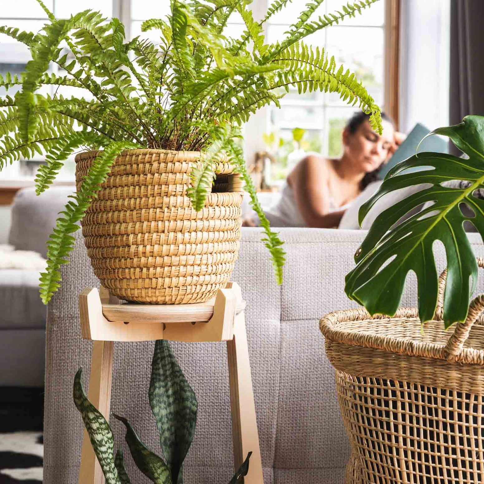 indoor planter nz Japandi Tiered Plant Stand | Home Decor | Premium Wood | NZ Made
