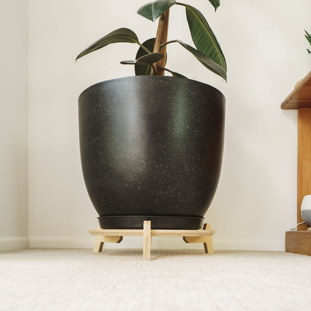 Japandi Foundation Plant Stand - Factory Second